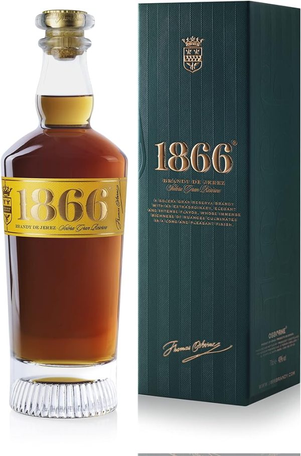 81BGcjd3WoL._AC_SX679_