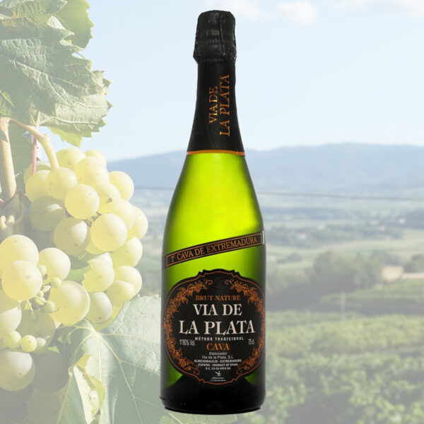 Cava-Via-de-la-Plata-Brut-Nature